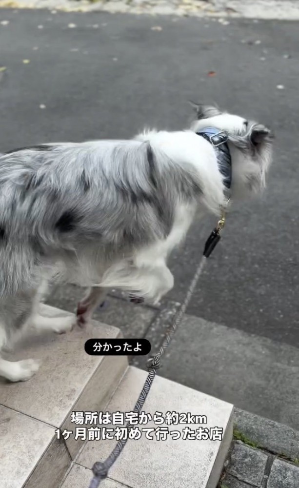 「わかったかも！」