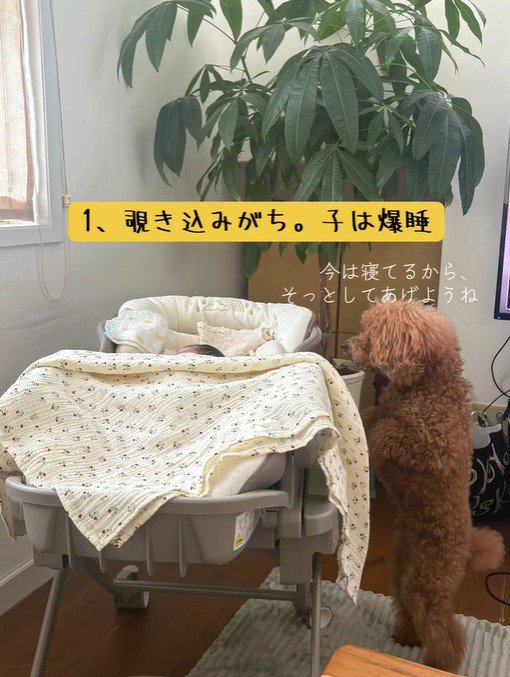 赤ちゃんが寝ている時も興味津々!