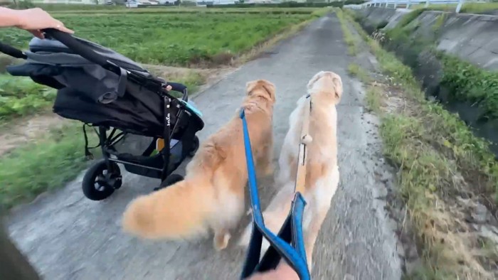 仲良く並んでトコトコ…♪