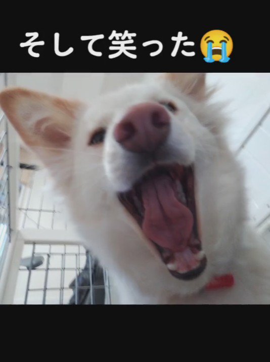 可愛い笑顔を見せるほどに!