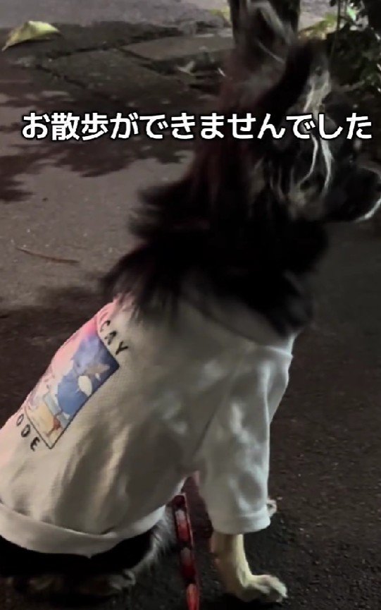 なぜか外を歩けない