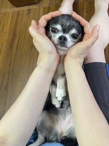可愛すぎる