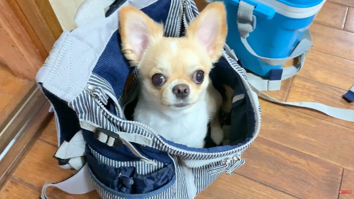 「早く行こう!」とワクワク♪