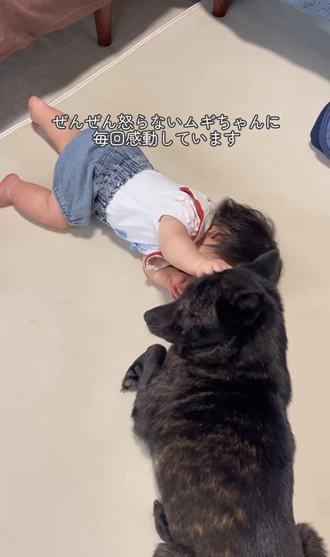 ツムギちゃんと娘さん9