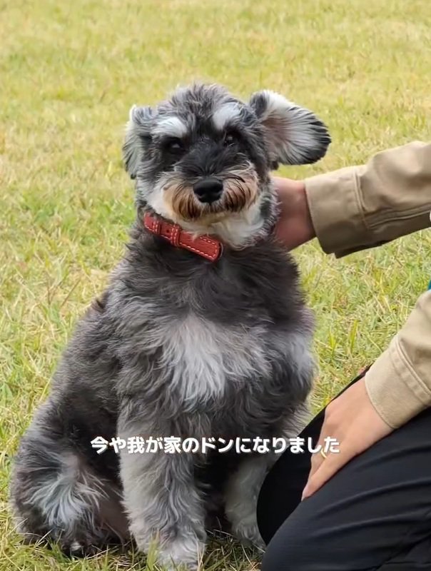 おすわりするルアナちゃん
