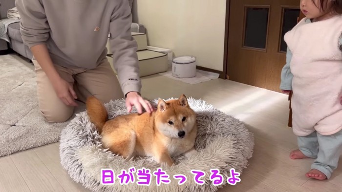 うにくんを移動させてみると…