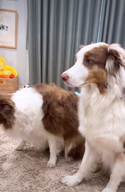 ササっと退散するリーリエちゃん