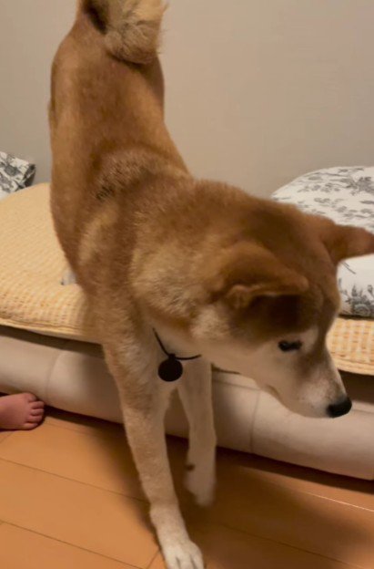 「さて…」
