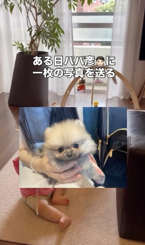 衝撃の出会い