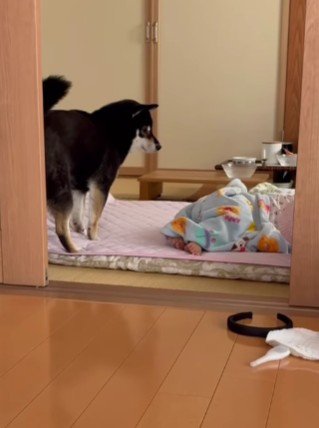 赤ちゃんが大泣き！