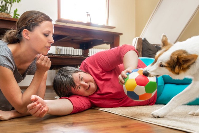 飼い主からボールを奪い取ろうとしている犬