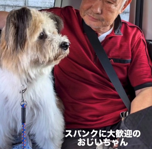 おじいちゃんと並んで座る犬