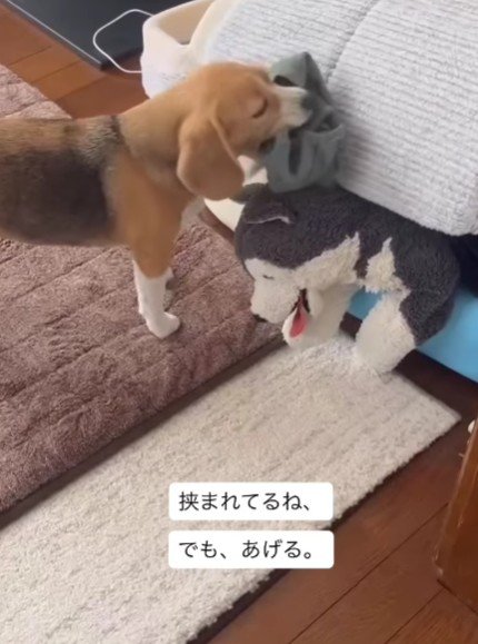 朝の日課完了～♪