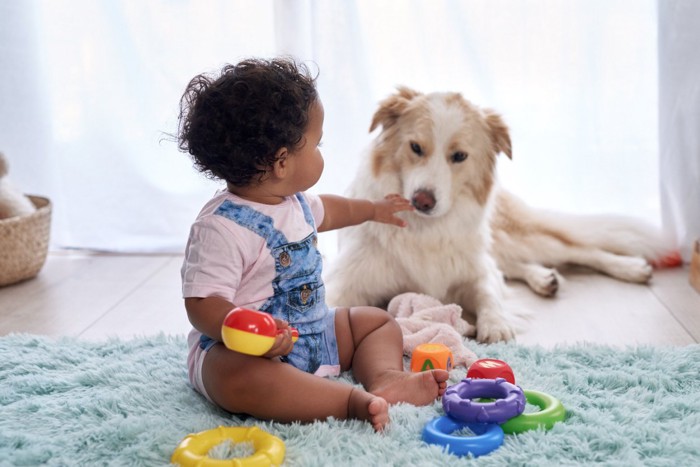 遊ぶ子供と座る犬