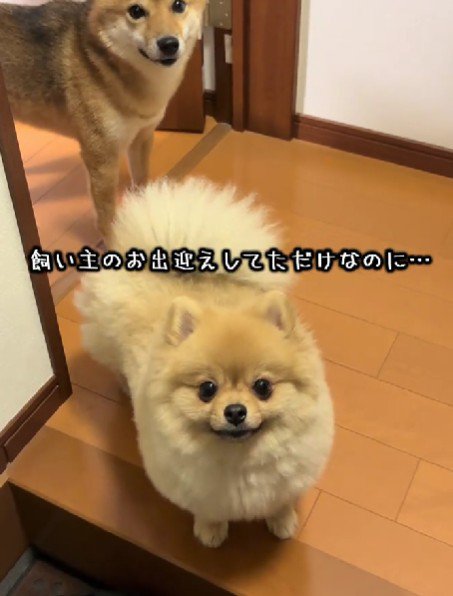 家にいるときは…