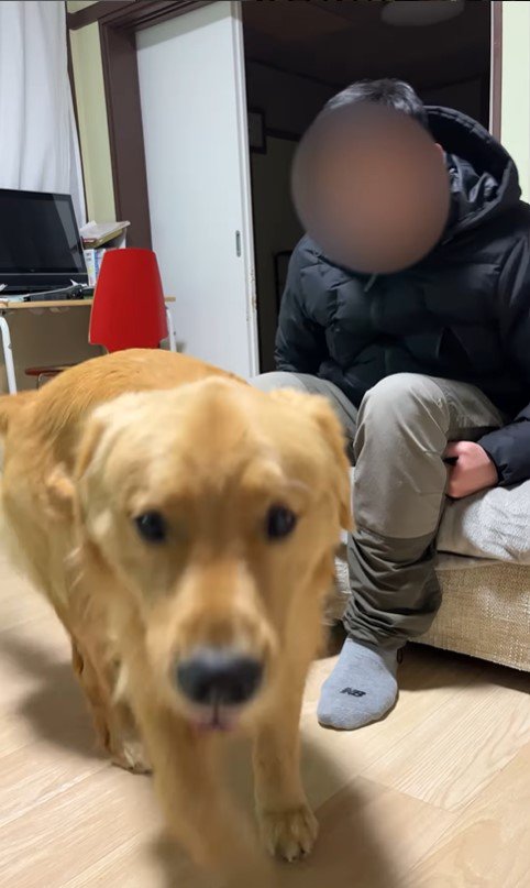 アルトくんのお散歩催促7
