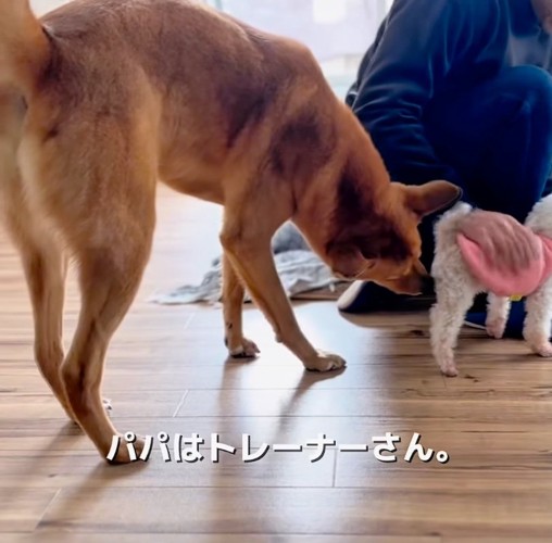挨拶