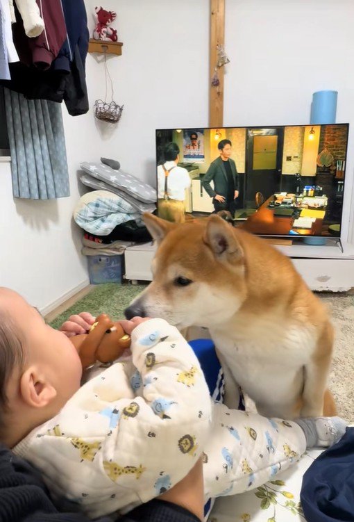 匂いをクンクン…