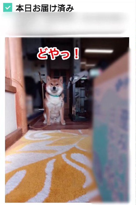 荷物が写っていないことも…