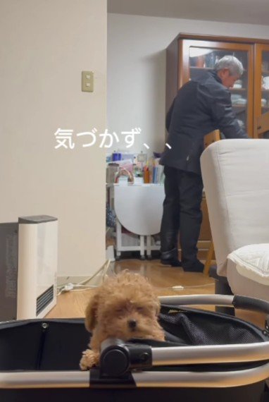 全然気が付かない！！