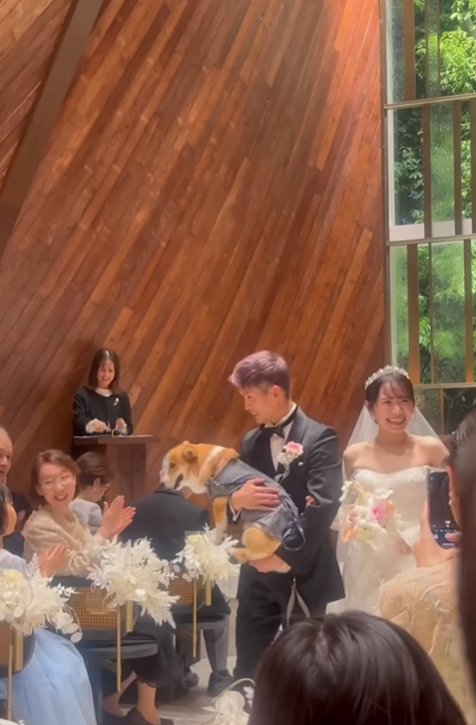 飼い主さんご夫婦に抱っこされて退場する中型犬