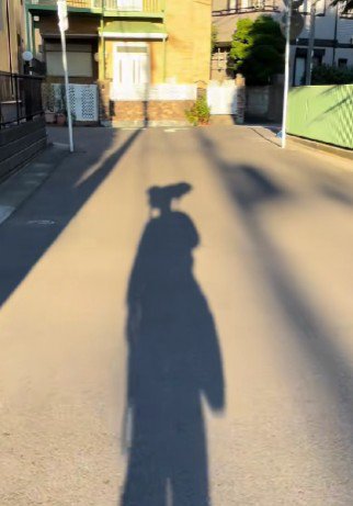 どんな格好？犬はどこ？