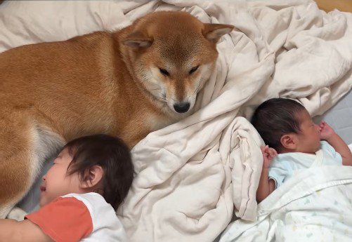 2人を見守ってくれています