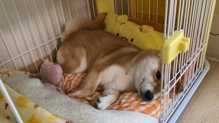 「疲れちゃった…」とぐったり