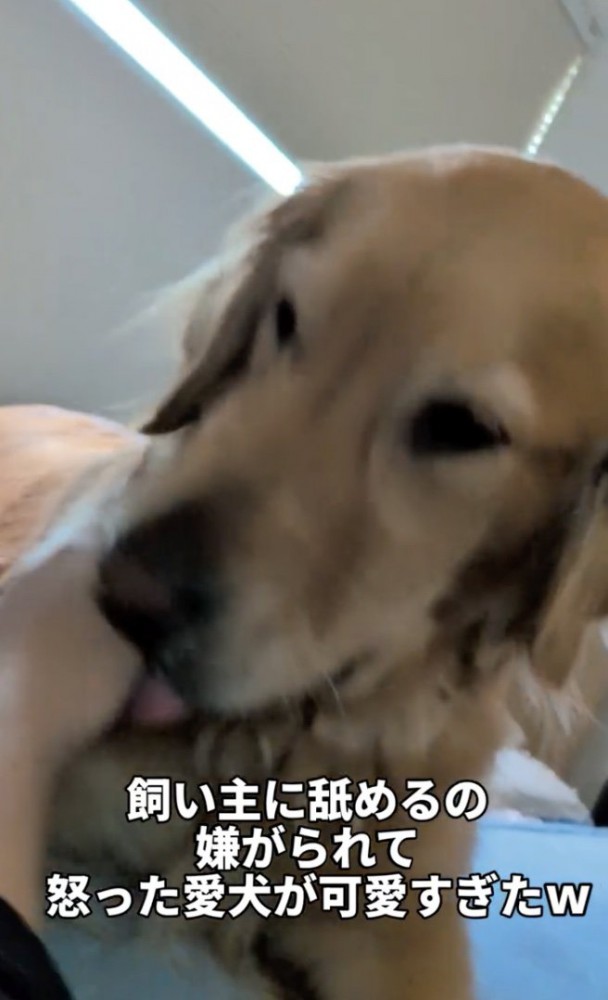 ナデナデされてたら…