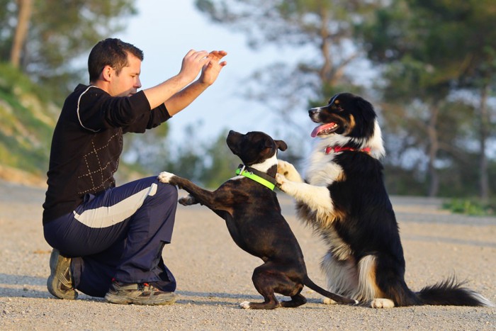 男性と2頭の犬