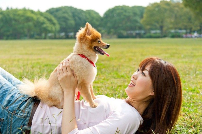 芝生に寝転ぶ女性の上に乗る犬