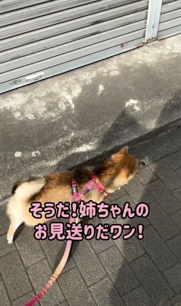 うっかり！