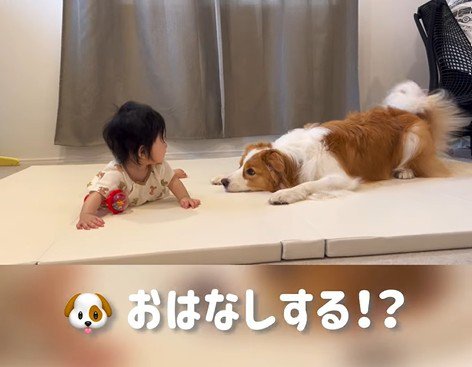 赤ちゃんを遊びに誘うまめ君6
