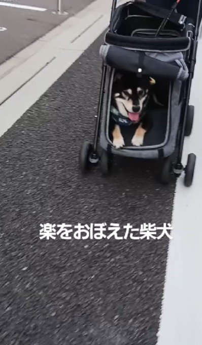 カートで楽々♪
