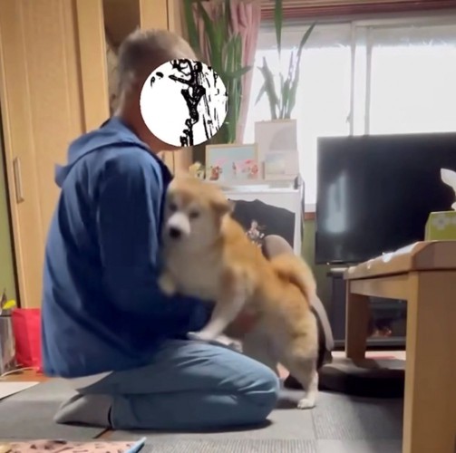 抱き上げられる犬