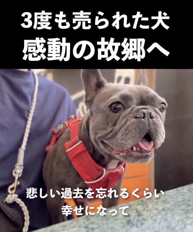 楽しそうな表情