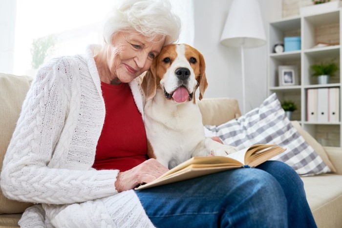 ソファーで本を読む高齢の女性に寄り添う犬