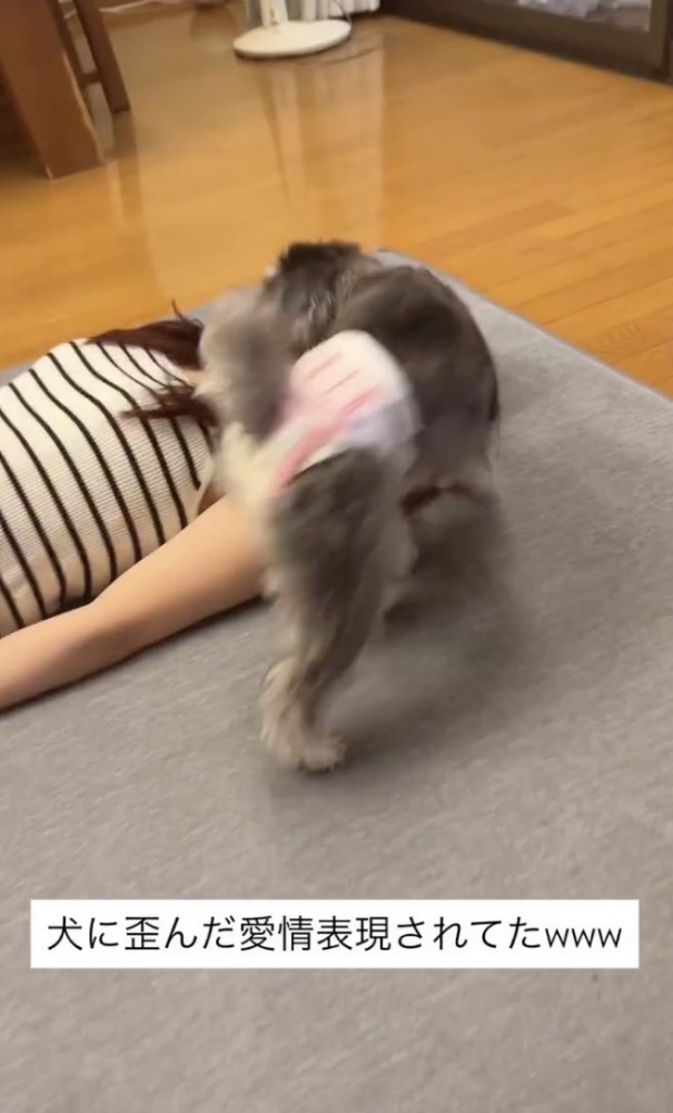 ザッ！！