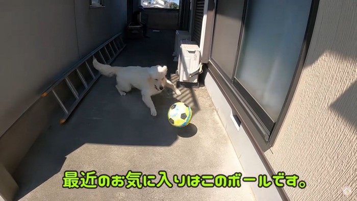 サッカーをするメイちゃん2