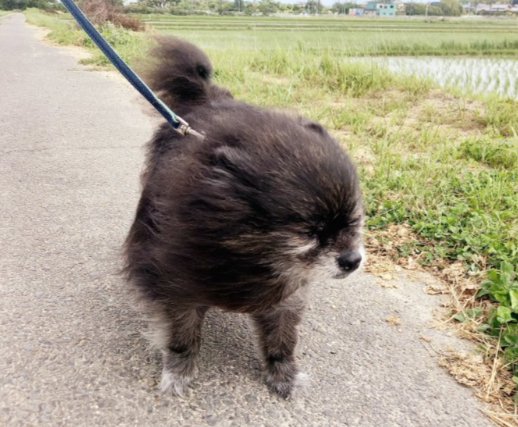 向かい風