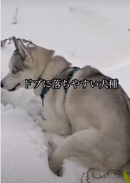 雪道すらも落下!!