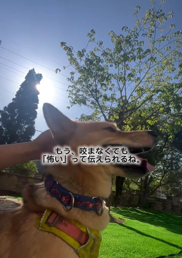 嬉しそうなあい君