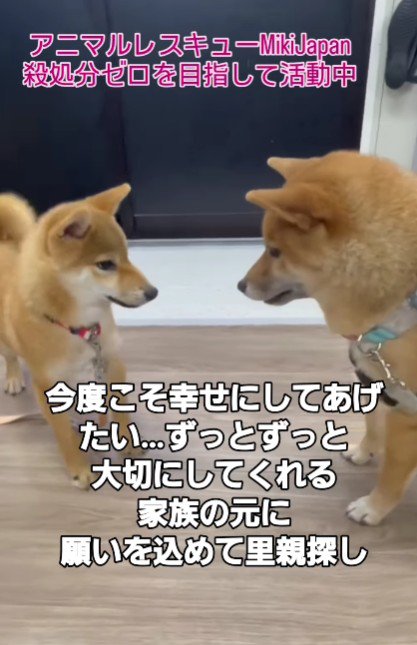 愛情を込めてお世話をしたら…