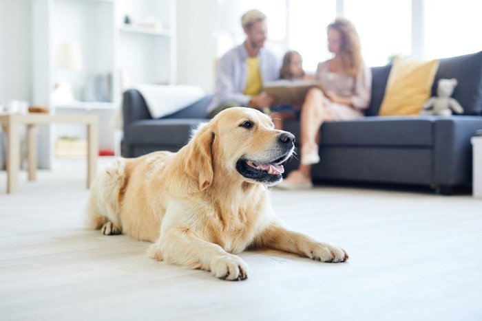 伏せる犬の向こうに3人の親子