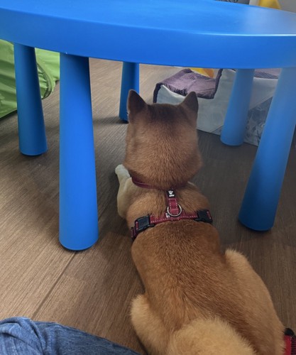 机の下