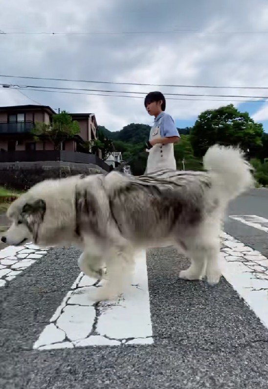 頼もしい姿に感嘆！！