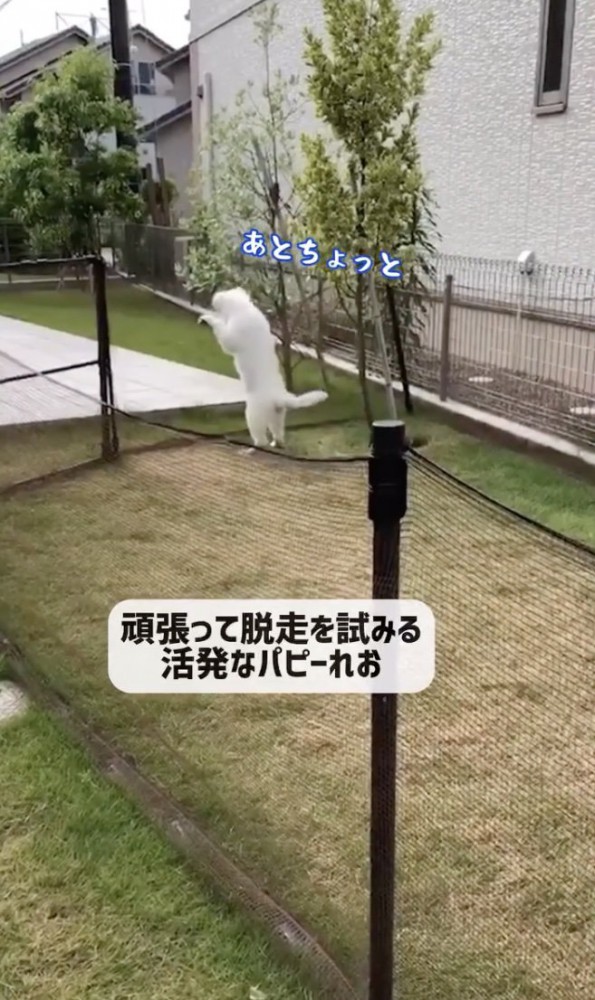 「あんっっ」