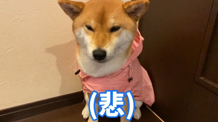 「やっぱり行けないのか…」