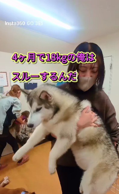 こんなに大きくなったのに…