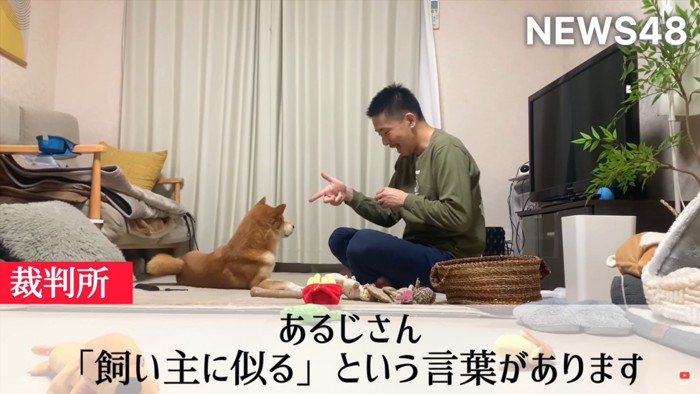 飼い主と遊ぶ柴犬